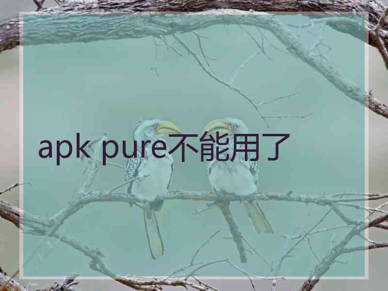 apk pure不能用了