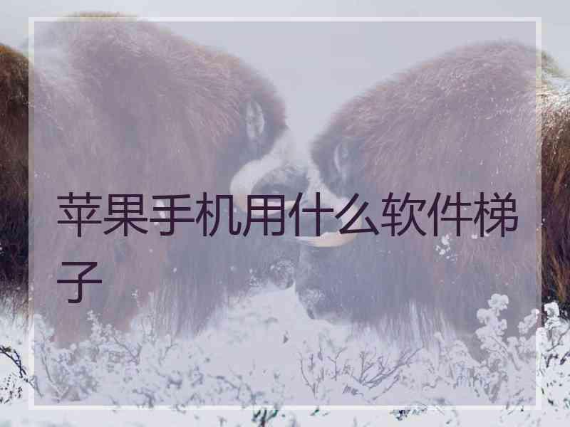 苹果手机用什么软件梯子