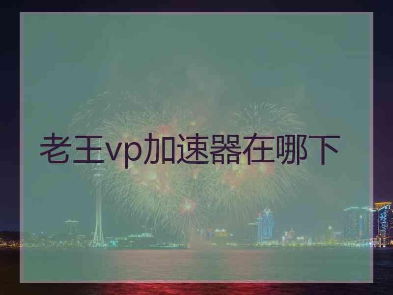 老王vp加速器在哪下