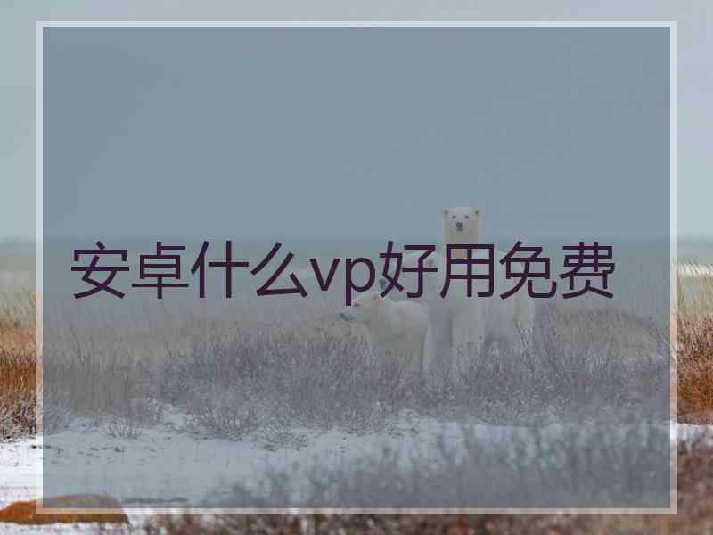 安卓什么vp好用免费