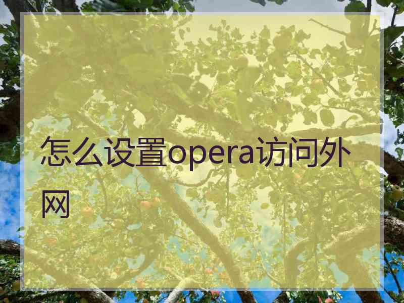 怎么设置opera访问外网