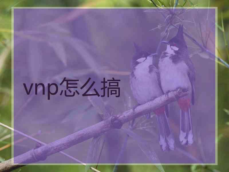 vnp怎么搞