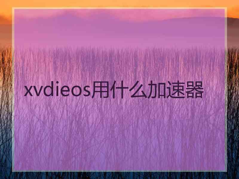xvdieos用什么加速器