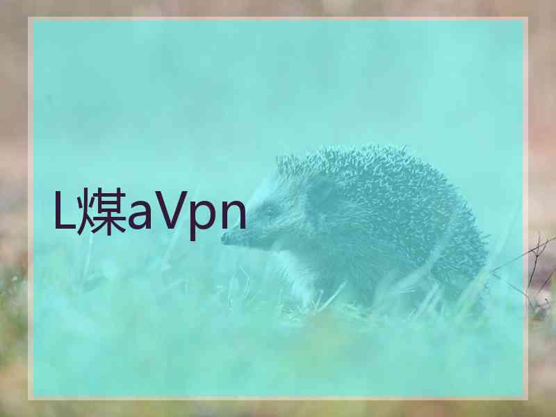 L煤aVpn