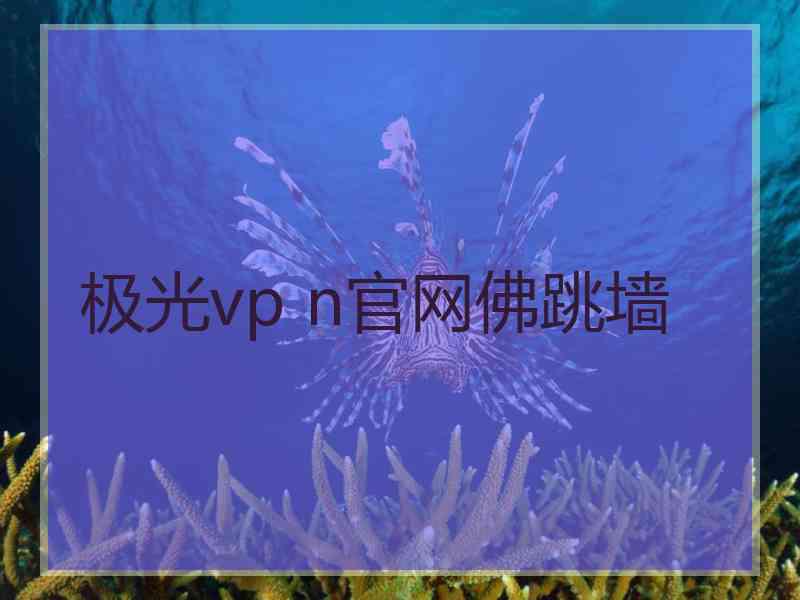 极光vp n官网佛跳墙