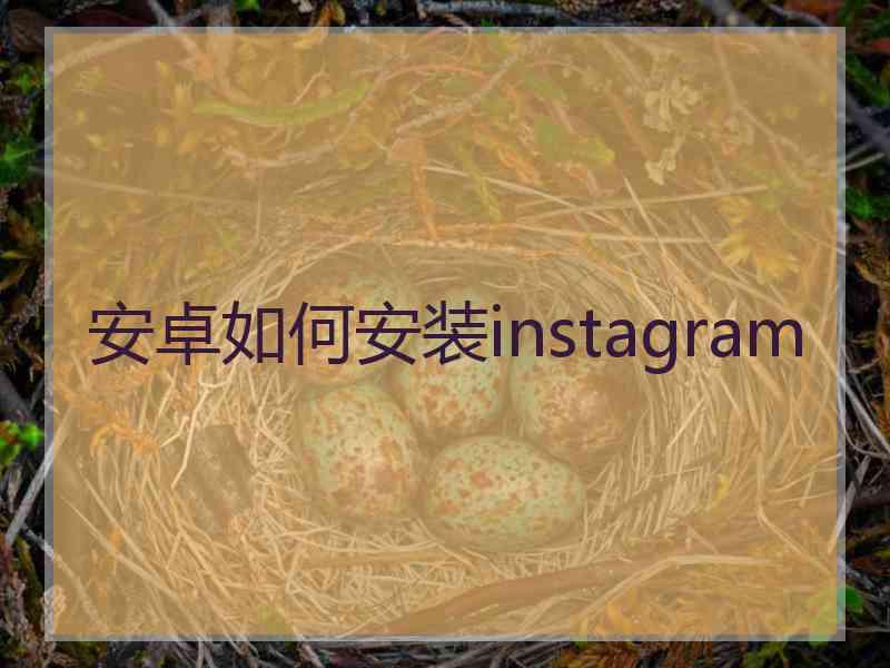安卓如何安装instagram