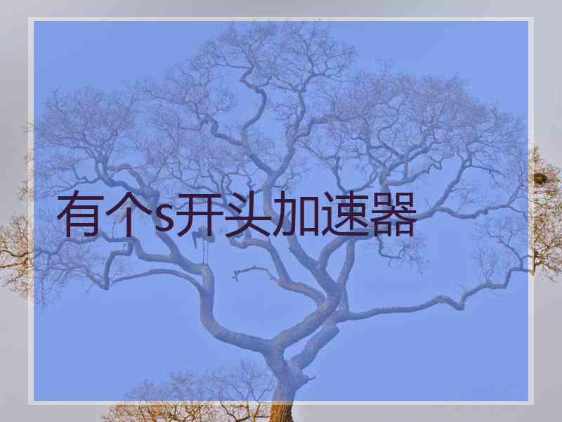 有个s开头加速器