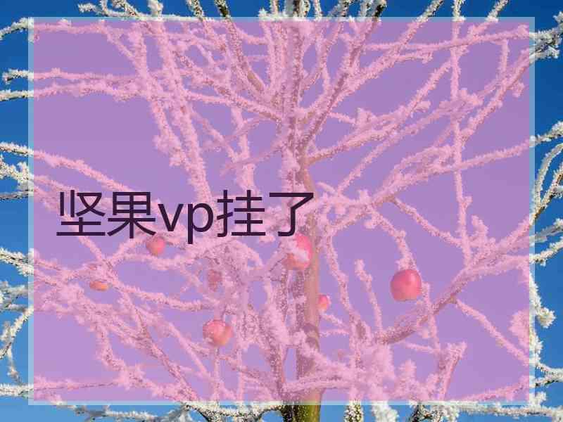 坚果vp挂了