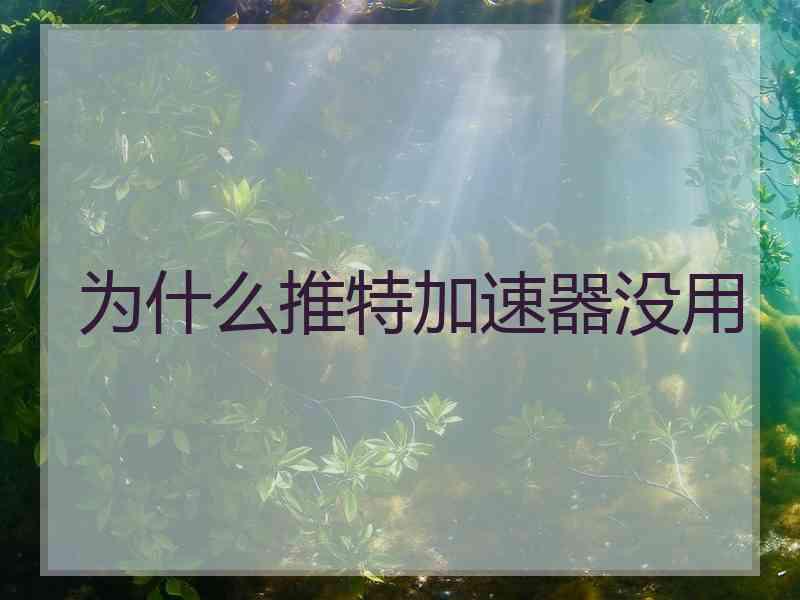 为什么推特加速器没用