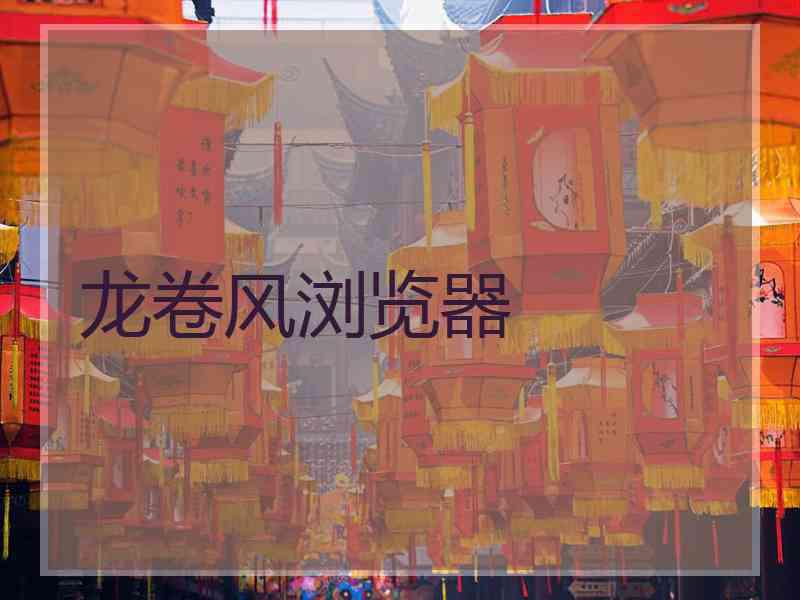 龙卷风浏览器