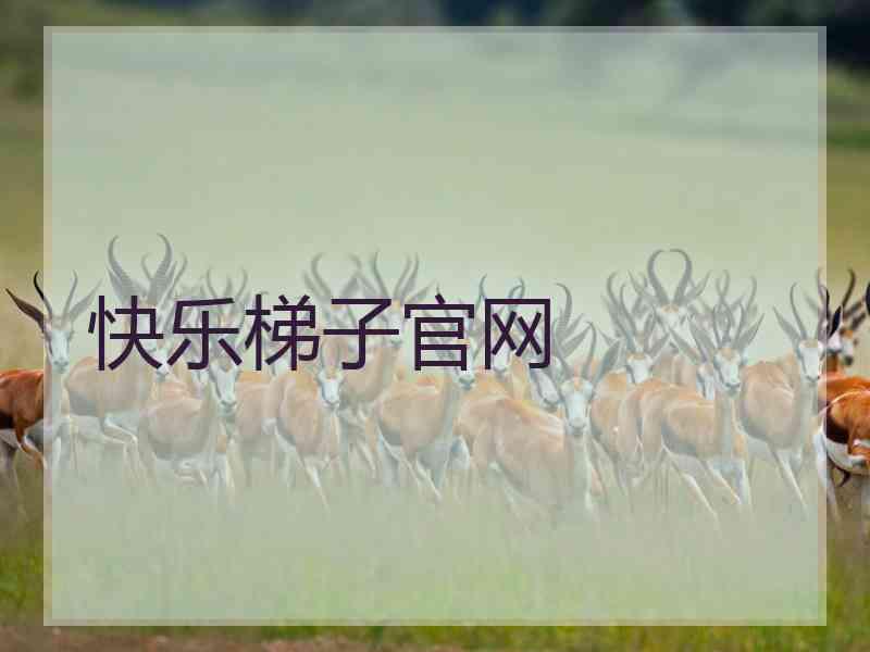 快乐梯子官网