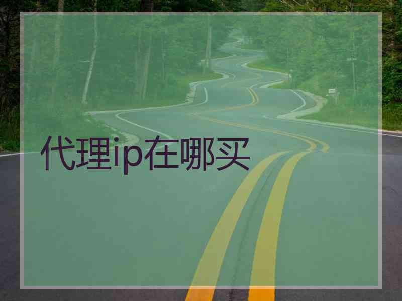代理ip在哪买