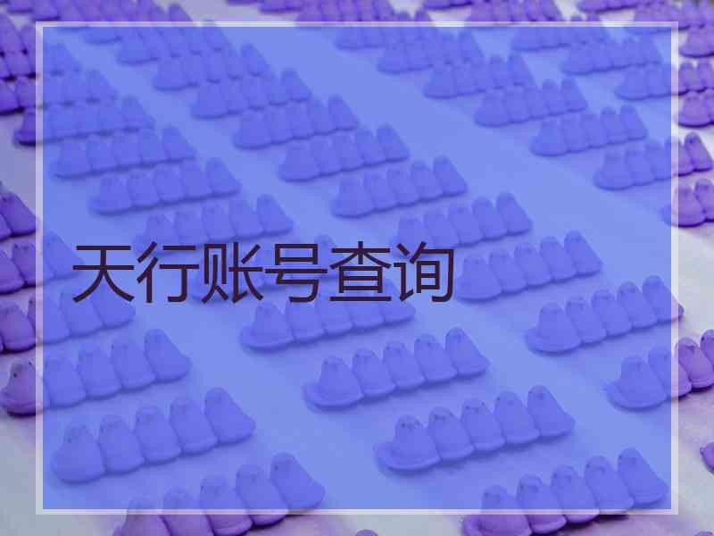 天行账号查询