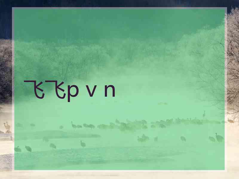 飞飞p v n