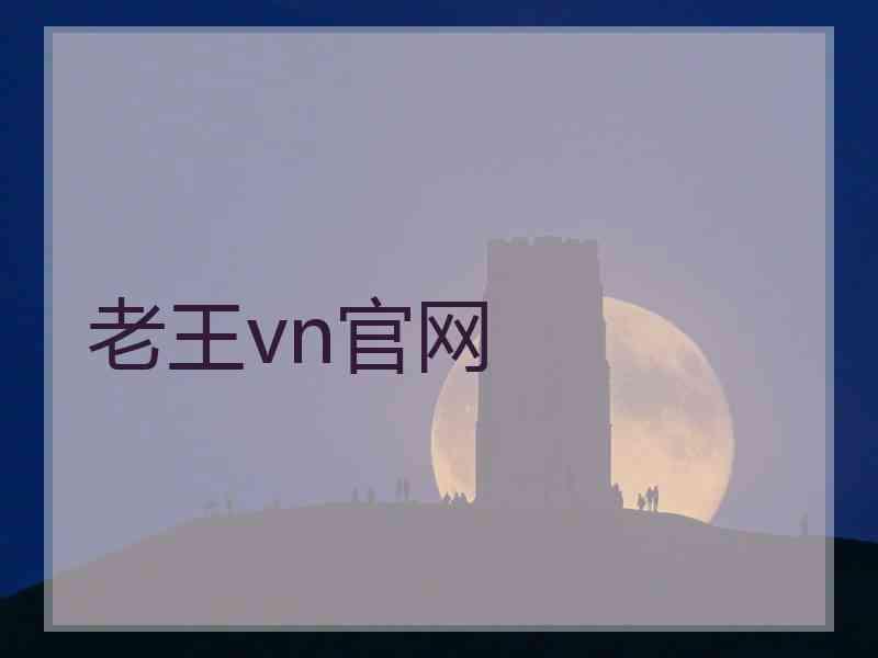 老王vn官网