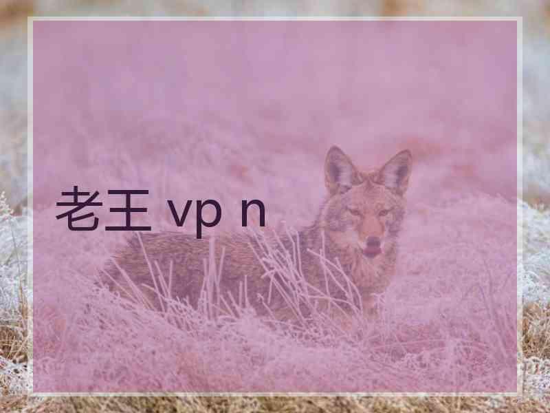 老王 vp n