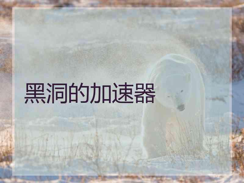 黑洞的加速器
