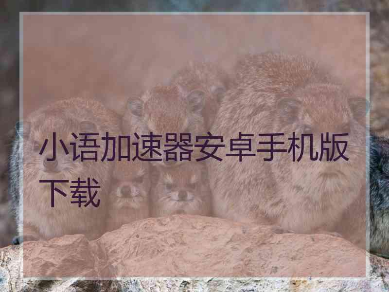 小语加速器安卓手机版下载