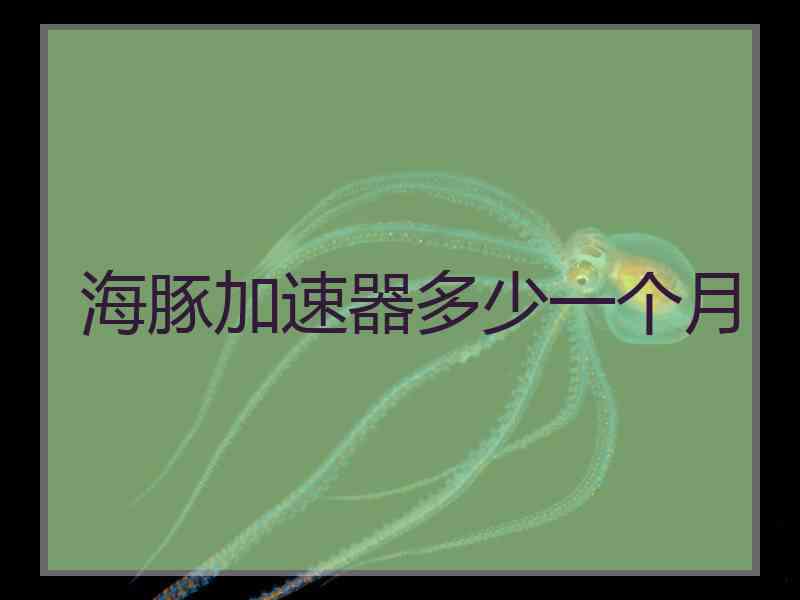 海豚加速器多少一个月