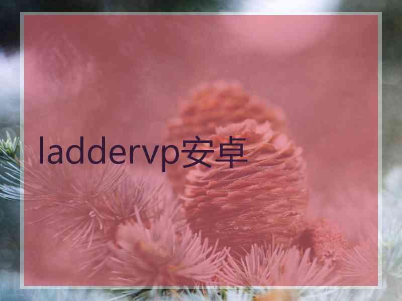 laddervp安卓