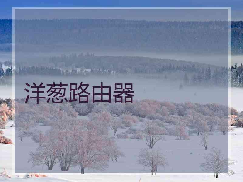 洋葱路由器