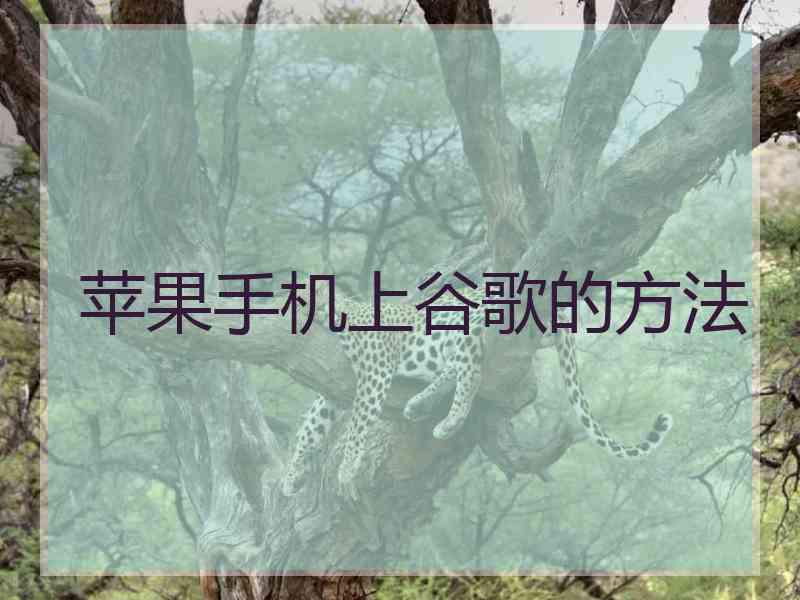 苹果手机上谷歌的方法