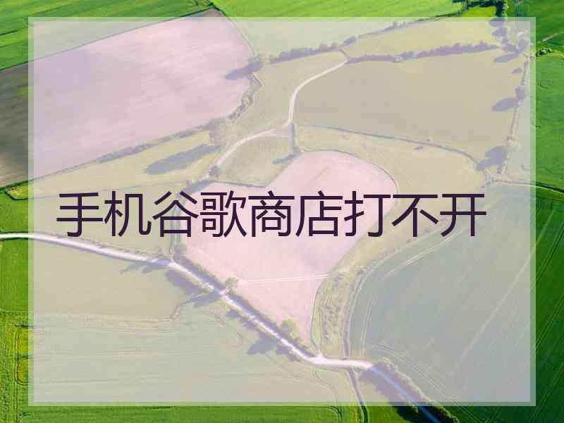 手机谷歌商店打不开