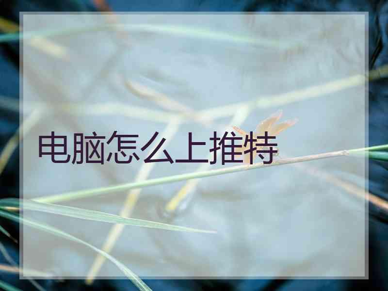 电脑怎么上推特