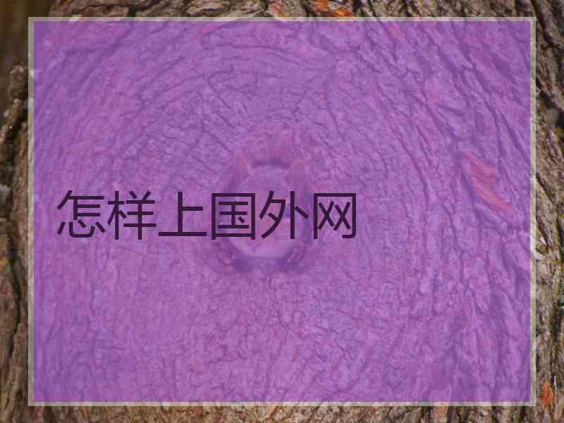 怎样上国外网