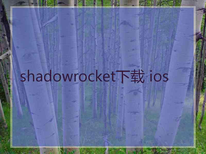 shadowrocket下载 ios