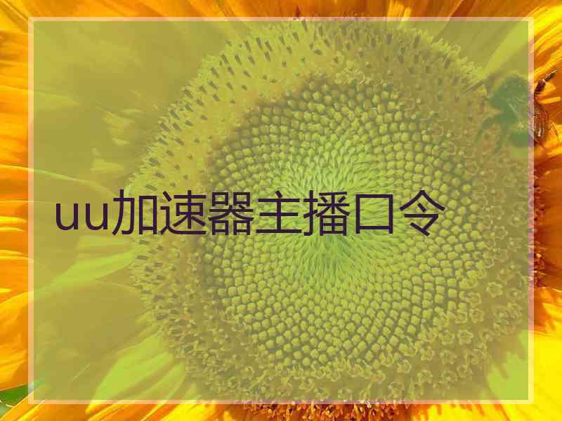 uu加速器主播口令