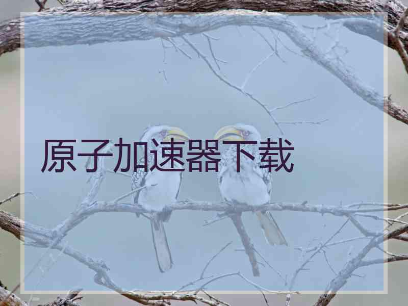 原子加速器下载