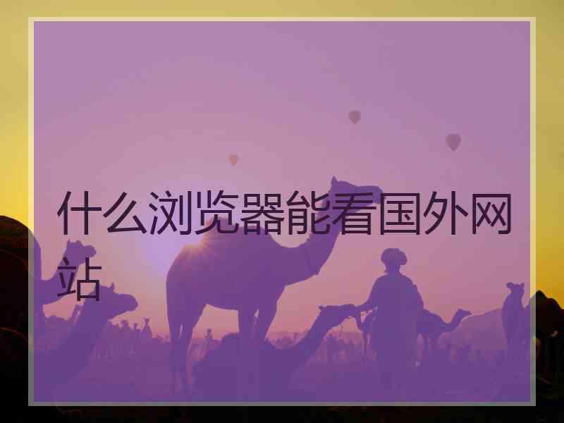 什么浏览器能看国外网站
