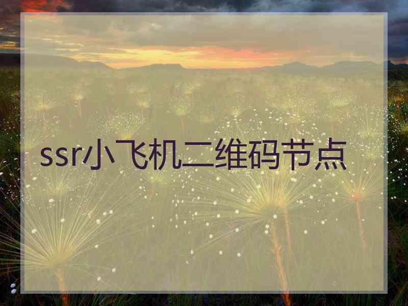 ssr小飞机二维码节点