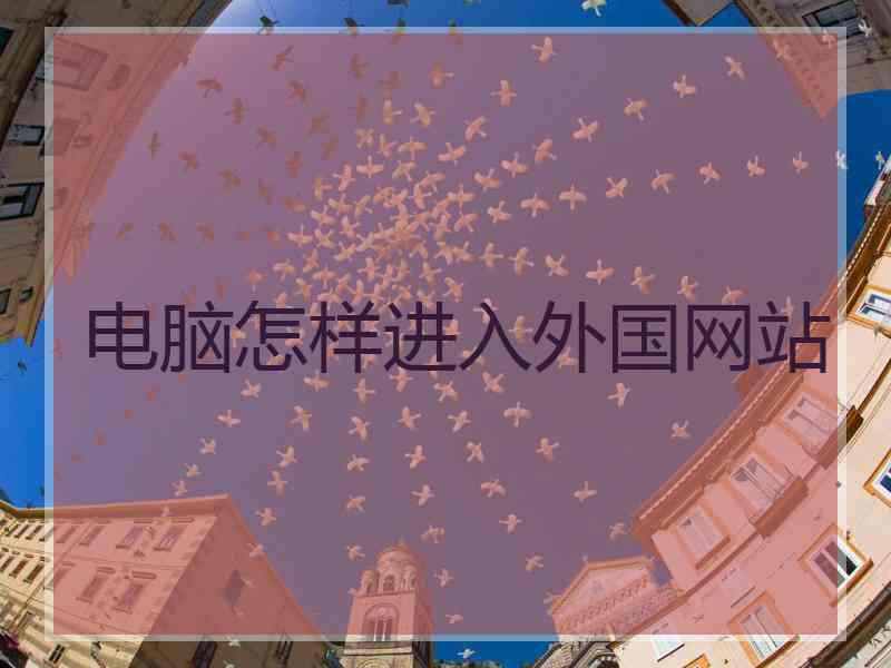 电脑怎样进入外国网站