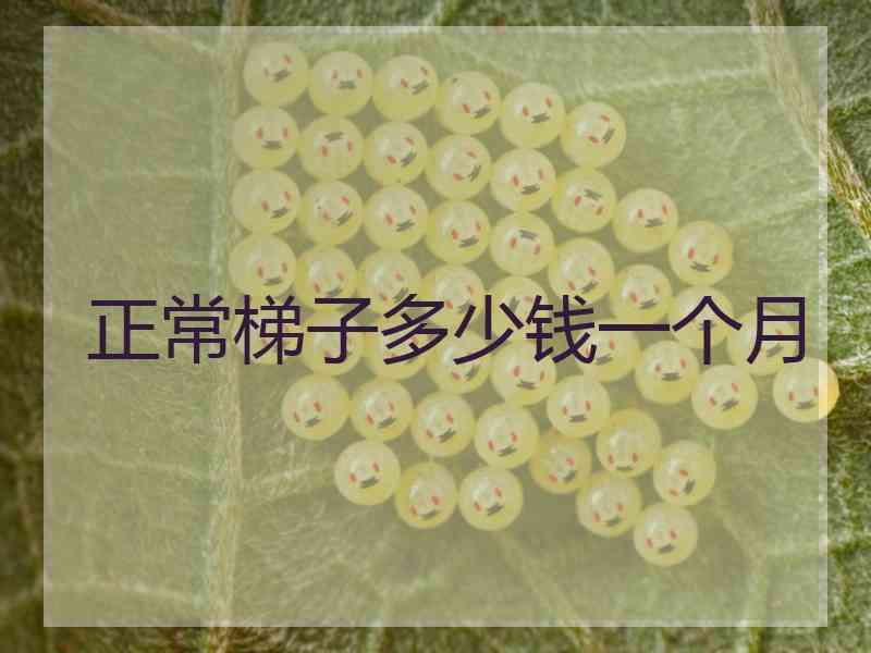 正常梯子多少钱一个月