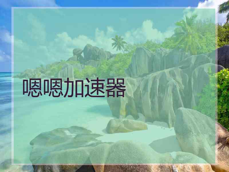 嗯嗯加速器