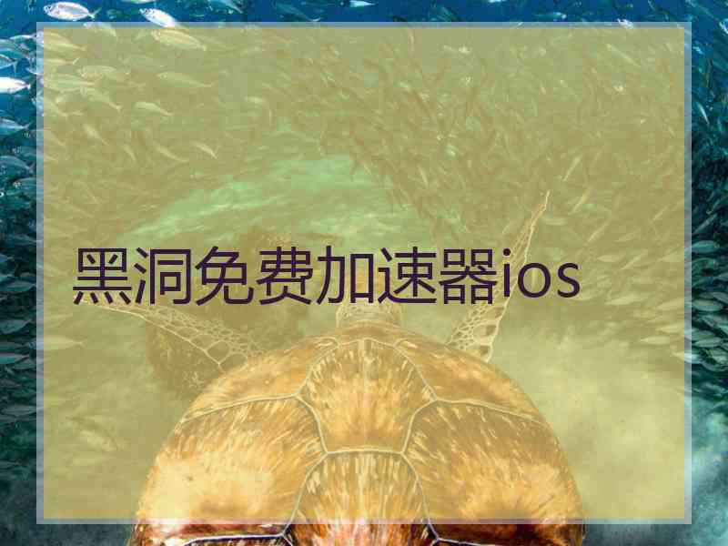黑洞免费加速器ios