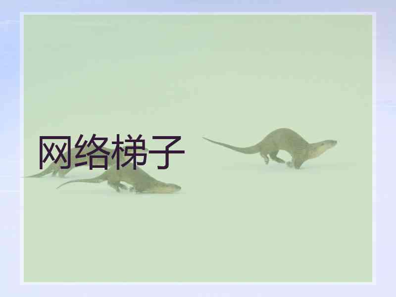 网络梯子