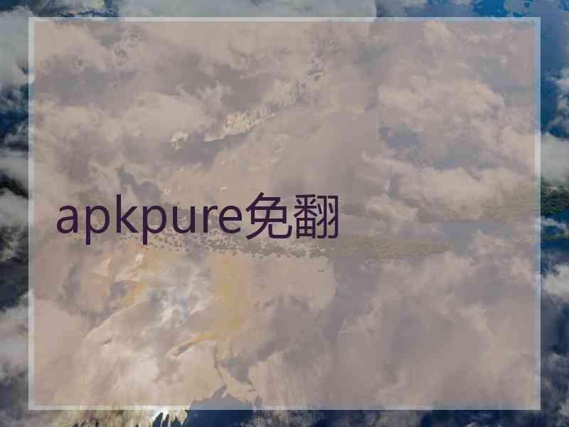 apkpure免翻