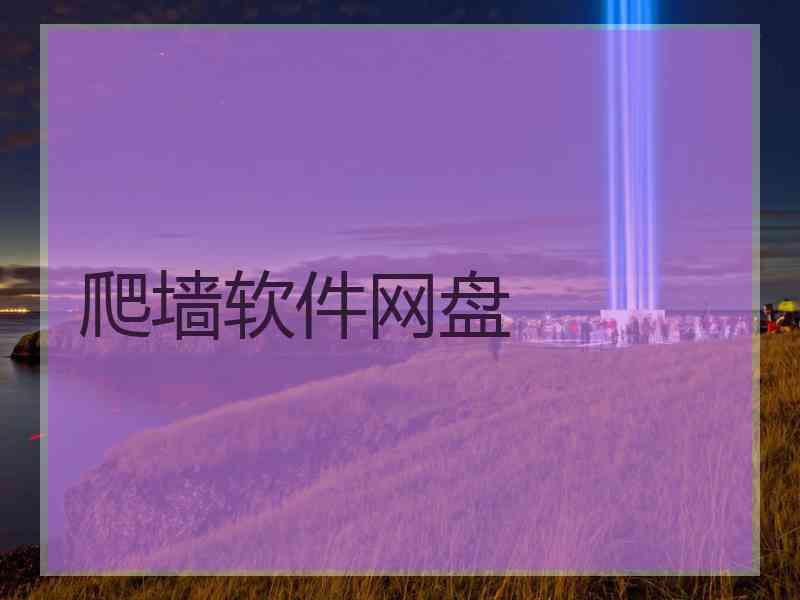 爬墙软件网盘