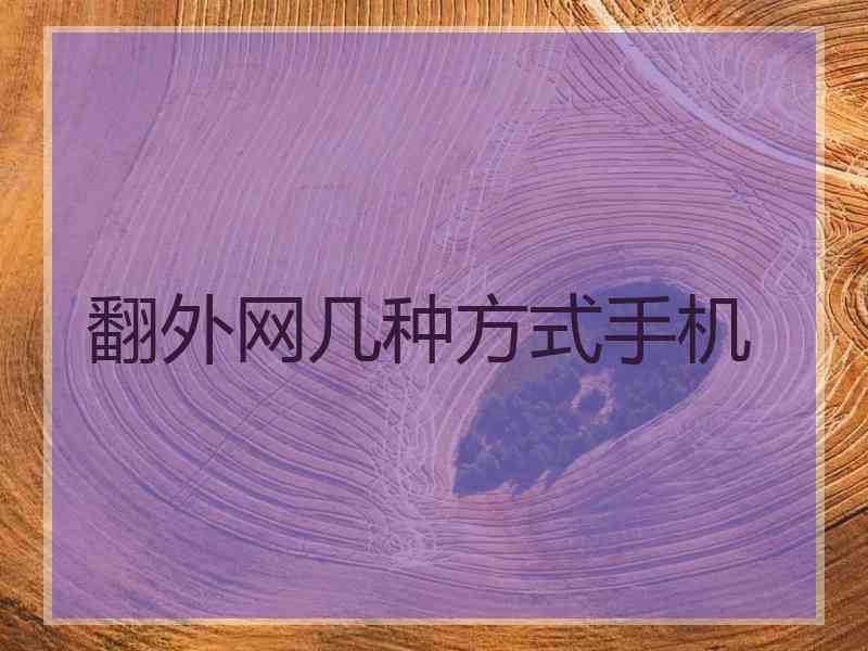 翻外网几种方式手机