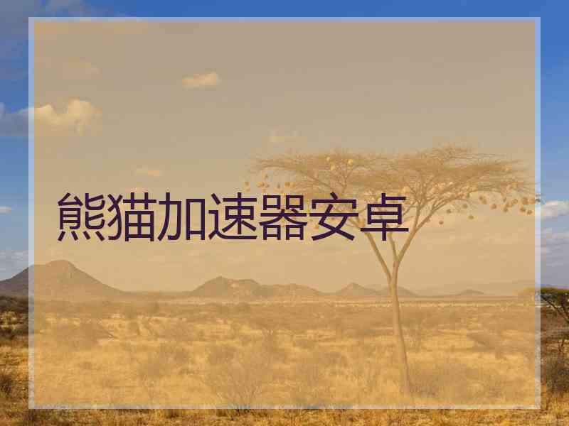 熊猫加速器安卓