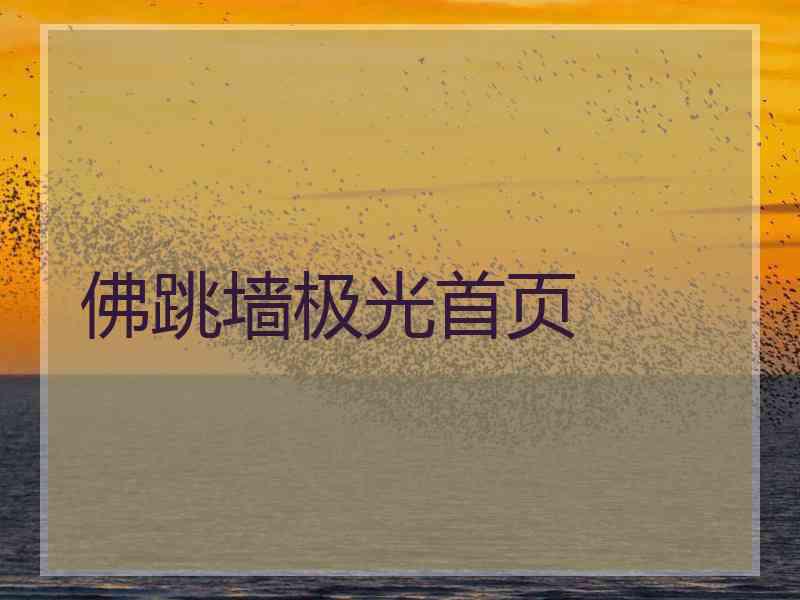 佛跳墙极光首页