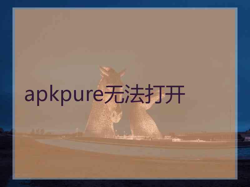 apkpure无法打开