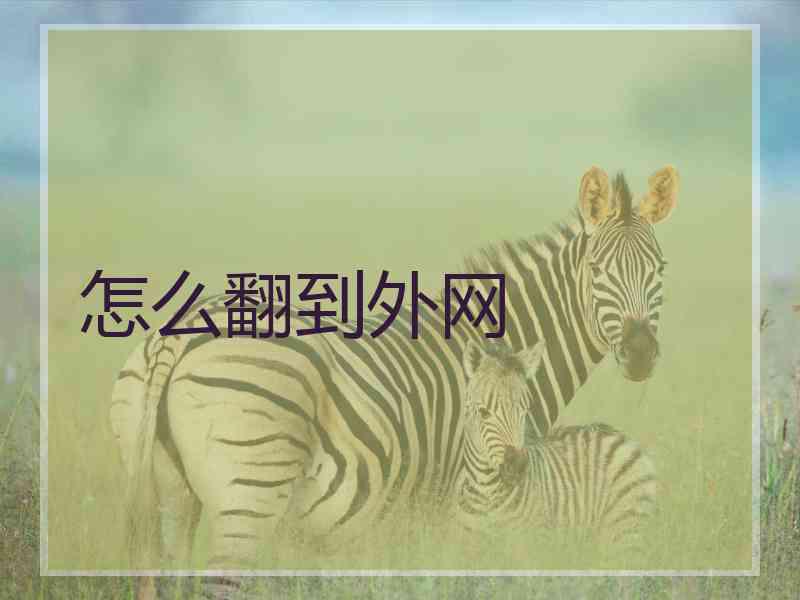 怎么翻到外网