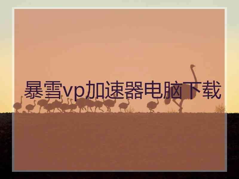 暴雪vp加速器电脑下载