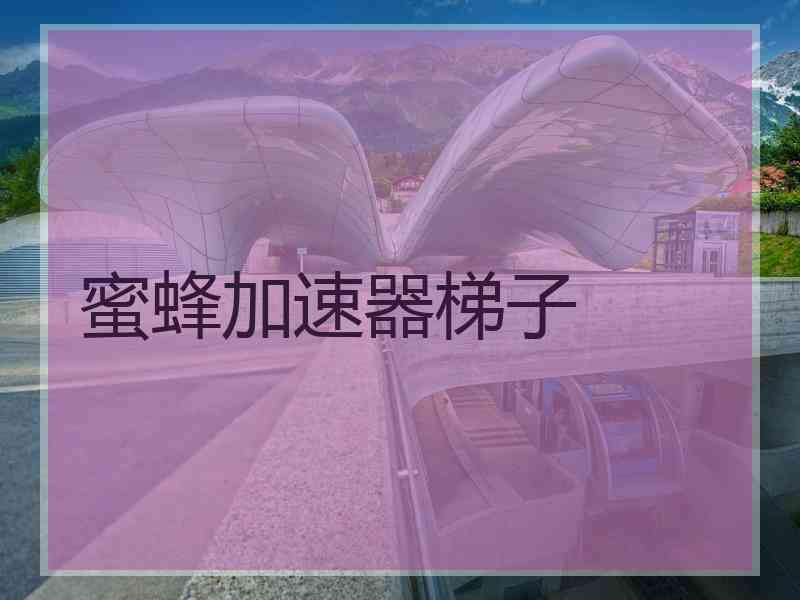 蜜蜂加速器梯子