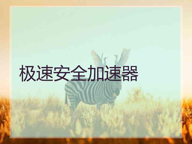 极速安全加速器