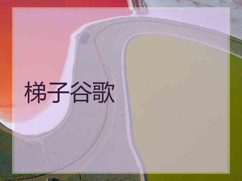 梯子谷歌